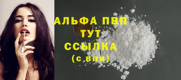 прущие грибы Беломорск