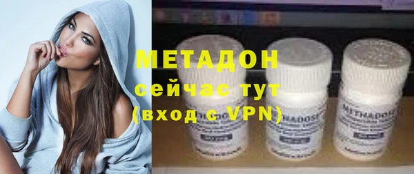 прущие грибы Беломорск