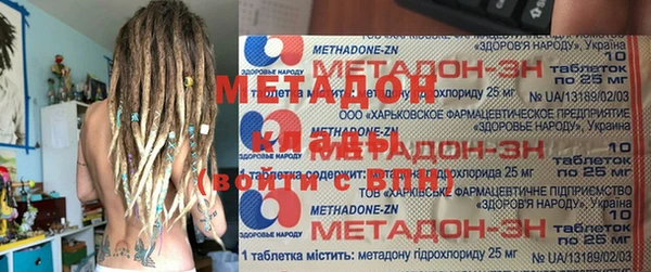 прущие грибы Беломорск