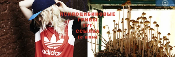 прущие грибы Беломорск