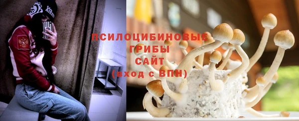 прущие грибы Беломорск