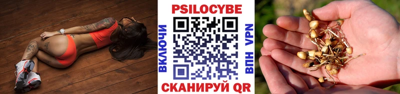 Псилоцибиновые грибы ЛСД  продажа наркотиков  Шумерля 